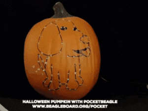 BeagleBoard PocketBeagle Halloween LED Pumpkin