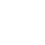 Icon Missing