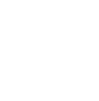 Icon Missing