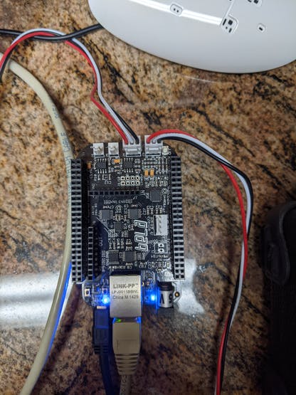 bela and the output and input connections